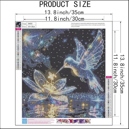 SHICERNHJ Eye Diamond Painting Kits for Adults DIY 5D Diamond Art Paint with Round Diamonds Dots Kits for Adults Full Drill Painting Kit Gem Art and Crafts for Home Wall Decor 12x16Inch in Kuwait