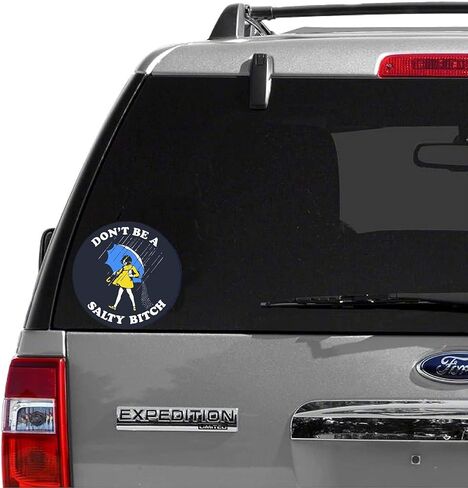 2-Pack Don't Be A Salty Bitch Sticker Decal - 4 Inches - Salty Bitch Sticker for Waterbottle Car Truck Van Window Bumper Laptop Tablet Cup Tumbler and Any Smooth Surface in Saudi Arabia