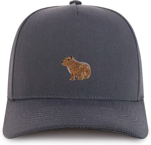 متجر ملابس عصري Capybara المطرزة التصحيح منظم 5 لوحة PON PRO in Kuwait