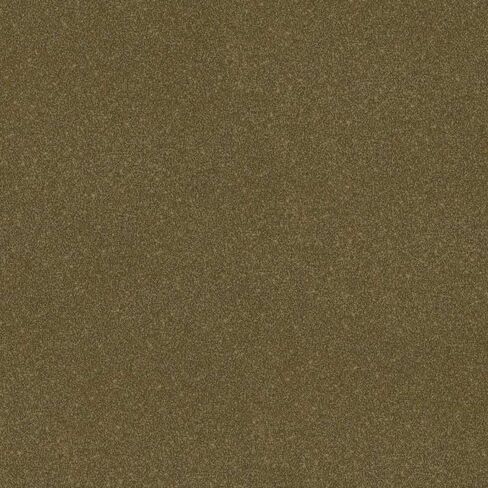 R&E Paint Supply Compatible with Toyota 6X1, Bronze Oxide Metallic Automotive Paint, 11oz Aerosol in Saudi Arabia