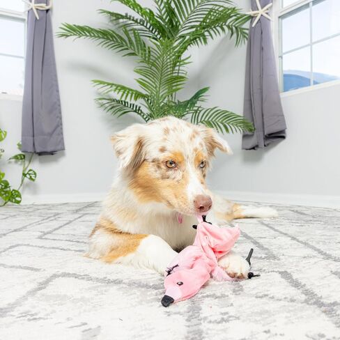 SPOT Mini Skinneeez Fox- Stuffless Dog Toy with Squeaker-No Stuffing Squeaky Dog and Puppy Toys, Unstuffed Chew Toy for Small & Medium Breeds, 1pc in Kuwait