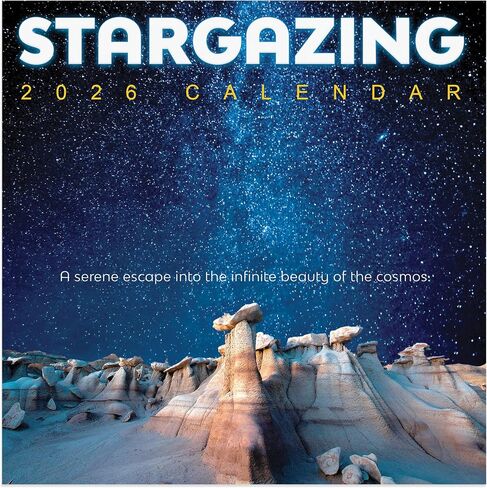 TF Publishing 2025 سنة من التقويم الجدار التنجيم - شبكات كبيرة للتعيينات والجدولة - تقويم الجدار الشهري العمودي 2025 - منظمة المنزل والمكاتب - ورقة غير لامعة سميكة - 12 "x12" in Kuwait