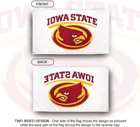 Desert Cactus Iowa State University Flag ISU Cyclones Banners 100% Polyester Indoor Outdoor 3x5 feet Flags (Style Y) in Saudi Arabia