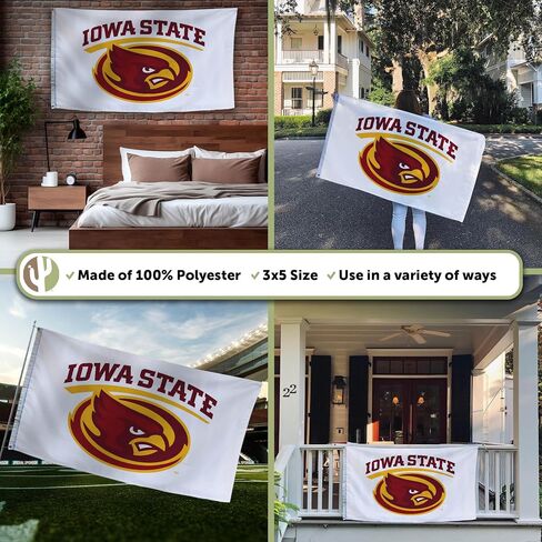 Desert Cactus Iowa State University Flag ISU Cyclones Banners 100% Polyester Indoor Outdoor 3x5 feet Flags (Style Y) in Saudi Arabia