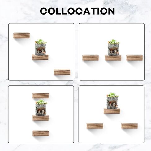 Small Floating Shelf,Set of 1 Display Ledges for Wall,Mini Shelves,Wood Shelf for Bedroom Living Room Bathroom Kitchen (6 Inch, Carbonized Black) in Kuwait