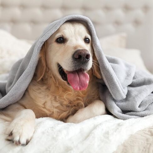 بطانيات الكلب المقاومة للماء Magshion للكلاب الكبيرة ، و SHERPA SHERPA ، رمي ، بطانية تحمي أريكة الأريكة من البقع أو الانسكابات أو الفراء ، 52 × 62 بوصة in Kuwait