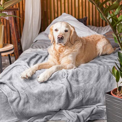 بطانيات الكلب المقاومة للماء Magshion للكلاب الكبيرة ، و SHERPA SHERPA ، رمي ، بطانية تحمي أريكة الأريكة من البقع أو الانسكابات أو الفراء ، 52 × 62 بوصة in Kuwait