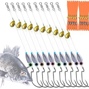 10Pcs Fishing Bullet Weights Texas Rigs Ready Kitg,Worms, Sinker (10g/7g/5g), Worm Hooks, Carbon line,Spinner Blades，Eye Beads Bait, Fishing Bass Rig Saltwater Freshwater