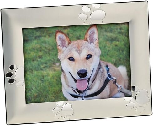 إطار صورة للحيوانات الأليفة بطبعة مخالب كلب من سكاي واي، فضي - 5 × 7 in Kuwait