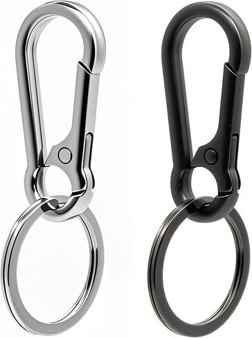 Keychain Keyring Set for Men Women Classic Metal Home Car Key Holder Organizer Portable Carabiner Clip Accessories 2PCS in Saudi Arabia