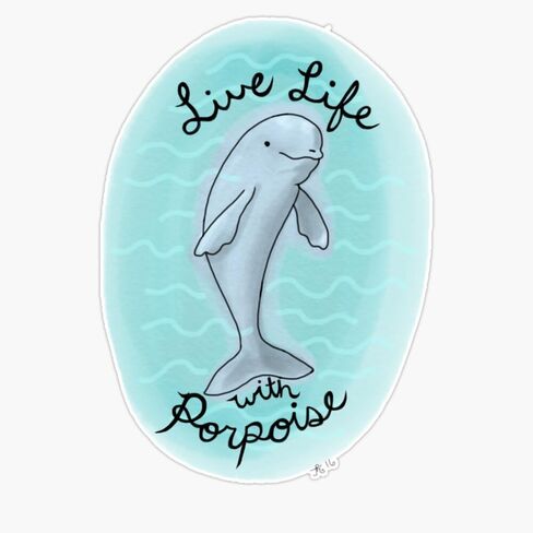 Live Life with Porpoise Sticker Vinyl Waterproof Sticker Decal Car Laptop Wall Window Bumper Sticker 5" in Saudi Arabia