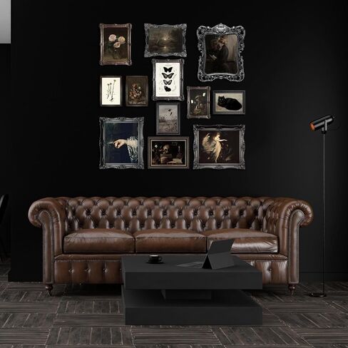 Lanchi95 12 PCS Dark Academia Decor ، Dark Moody Decor Pictures Pictures ، Victorian Gothic Wall Art Prints ، Creepy Goth Plaintage Vintage Fainting for Home Bedroom (غير مؤلف) in Kuwait