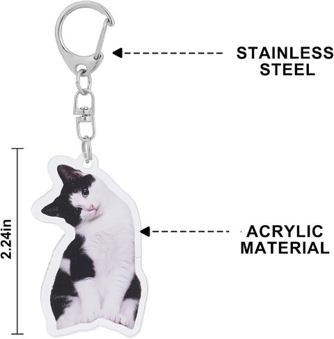 8 أجهزة كمبيوتر لطيفة سلسلة مفاتيح الحيوانات اللطيفة Cat Meme Keychains - مضحكة Cat Emoji الحلي للحقائب/محفظة ، Kawaii Charm Starm Starm Ceychain (سلاسل المفاتيح ذات الطابع الحيواني) in Kuwait