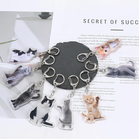 8 أجهزة كمبيوتر لطيفة سلسلة مفاتيح الحيوانات اللطيفة Cat Meme Keychains - مضحكة Cat Emoji الحلي للحقائب/محفظة ، Kawaii Charm Starm Starm Ceychain (سلاسل المفاتيح ذات الطابع الحيواني) in Kuwait
