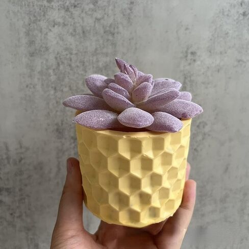 Dried Flowers Vase Concrete Flower Pot Silicone Mold Succulent Plants Cement Plaster Clay Mold Candle Jar/Pen Container/Makeup Brush Storage Mould in Kuwait
