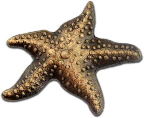 PinMart Antique Bronze 3D Starfish Ocean Animal Lapel Pin in Saudi Arabia
