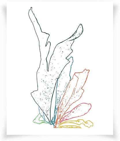 رسومات الطبيعة الإبداعية الرابع - فن الجدار - 32 × 40 - غير مؤلف - متعددة in Kuwait