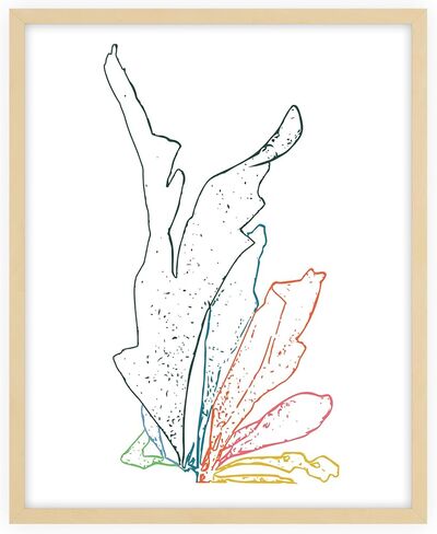 رسومات الطبيعة الإبداعية الرابع - فن الجدار - 32 × 40 - غير مؤلف - متعددة in Kuwait