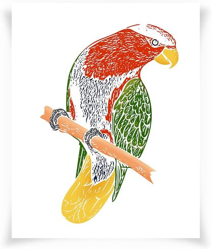 رسومات الطبيعة الإبداعية الطبيعة الثامن - فن الجدار - 16 × 20 - غير مؤلف - متعدد - متعدد in Kuwait
