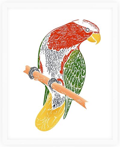 رسومات الطبيعة الإبداعية الطبيعة الثامن - فن الجدار - 16 × 20 - غير مؤلف - متعدد - متعدد in Kuwait