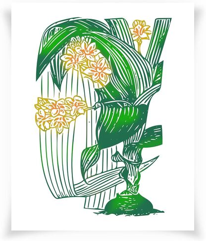 Nature Creative Nature Drawings V - Wall Art - 32 × 40 - غير مؤلف - Multi in Kuwait