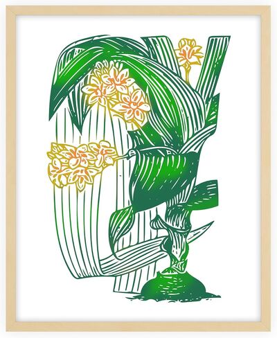 Nature Creative Nature Drawings V - Wall Art - 32 × 40 - غير مؤلف - Multi in Kuwait