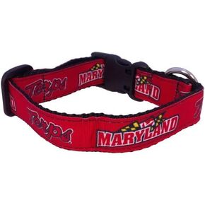 NCAA Maryland Terrapins Dog Collar (Team Color, Small)