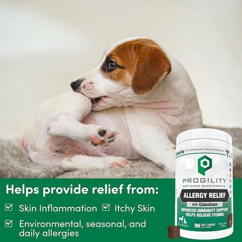 Nootie Progility Allergy Relief Supplement, Itch Relief Supplement for Dogs, 90 Soft Chews per Container in Kuwait