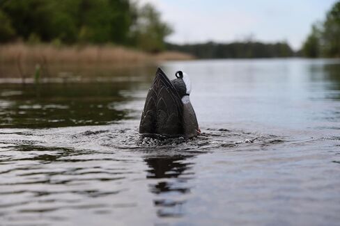MOJO Outdoors Mallard Lite Duck Decoy | Lifelike Motion Decoys for Duck Hunting | Smooth & Quiet Performance in Saudi Arabia