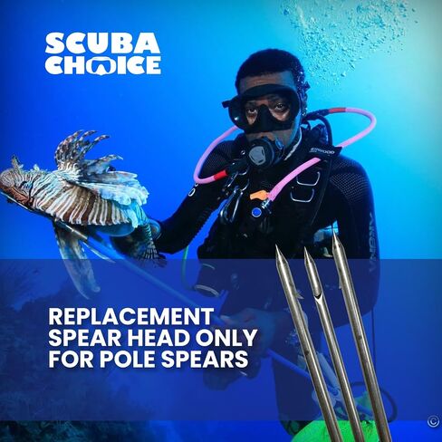 Scuba Choice Spearfishing مقاس 12 بوصة من الفولاذ المقاوم للصدأ طرف الرمح ذو 3 رؤوس مشلول (أسود)، مقاس واحد in Saudi Arabia