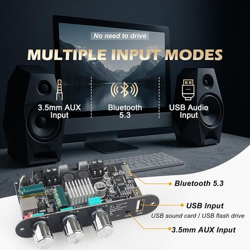 ZK-1001B Mono Bluetooth Amplifier Board with TPA316D2 Chip, Wide Voltage Input 12-24V Peak Output Power 100W, with TWS Pairing Function, Black (ZK-1001B) in Saudi Arabia