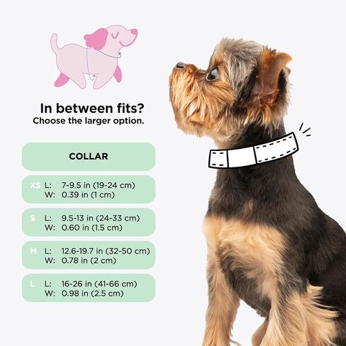 Dog Collar Barbie™ Malibu - M, Adjustable, Durable, Comfortable and Stylish Pet Accessories for Medium Dogs - Officially Licensed in Kuwait