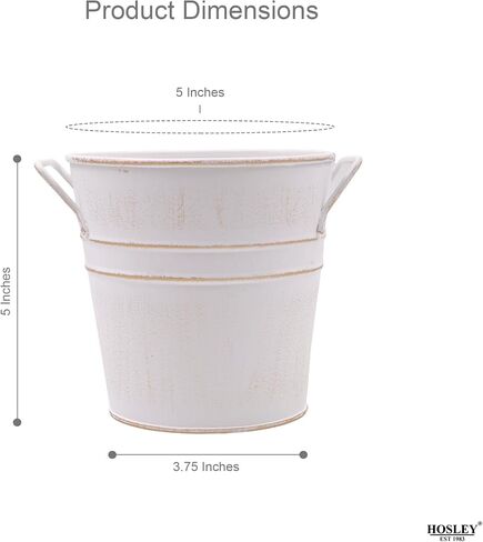 مجموعة Hosley من 3 مزهريات برونزية عتيقة/دلاء فرنسية - 5 "DIA x 5" H. هدية مثالية لحفل الزفاف والمنزل وترتيبات الأزهار المجففة وسبا وعلاج العطرية O4 in Kuwait