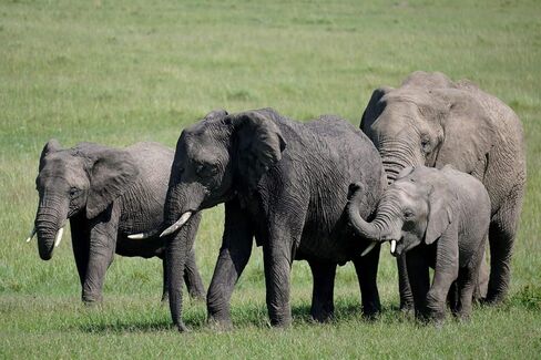 حزمة عدسة Sony Alpha 70-350mm F4.5-6.3 G OSS Super-Telephoto APS-C (أسود) مع منفاخ ملحقات متقدمة بكسل ومجموعة تنظيف | (SEL70350G) in Kuwait