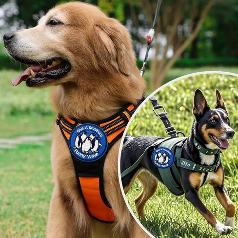 It's Called Trash Can Hook and Loop Patch, Funny Tactical Embroidered Patches, Cute Animal Cat Morale Patch, DIY Applique Accessories for Backpacks, Dog Harnesses, Army Vests, Gym Bags, Hats, Helmets in Kuwait