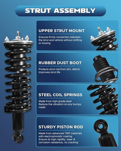 Pair Front Struts Shock Absorbers Coil Spring Assembly Fit for 2003-2007 Honda Accord Replacement 172123L 172123R in Saudi Arabia