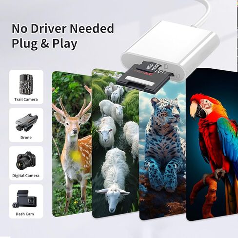 قارئ بطاقة SD لجهاز iPhone ، 3 فتحات USB-C موصلات مزدوجة محول بطاقة مع USB-A Trail Camera Card Viewer ، يدعم المكونات والتشغيل محول بطاقة MicroSD SD و TF لأجهزة iPad لا يوجد تطبيق مطلوب in Kuwait