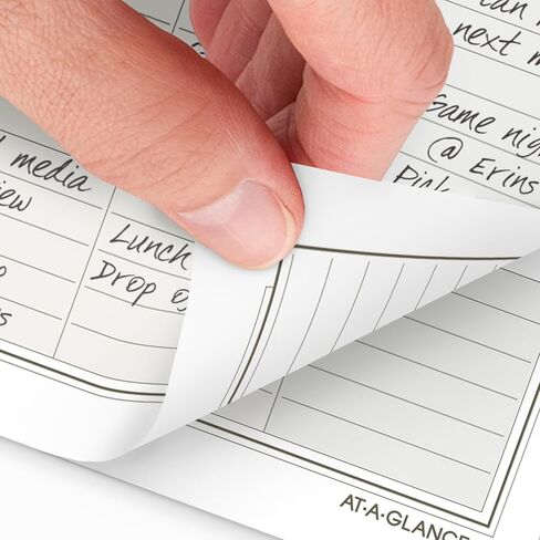 AT-A-GLANCE 2026 Planner Rechill ، شهريًا ، 8.5 "× 11" ، حجم الورقة 5 ، فضفاضة (491-685-26) in Kuwait