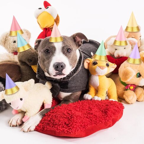 40 Pcs Mini Party Hats Colorful Pet Party Hats Bulk Cone Hats for Stuffed Animals Dog Cat Birthday Party Favors in Kuwait