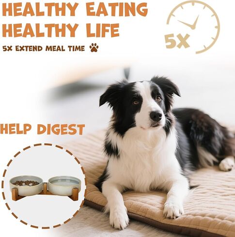 Dog Slow Feeder Ceramic Bowls Set with Stand, Cute Paw Slow Feeding Food Bowl and Water Bowl for Small Breed, Ceramics Cat Dishes,Non Slip, Brithday Gifts, Grey in Kuwait