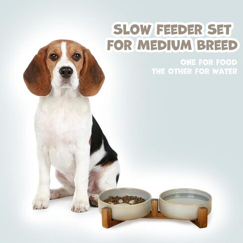 Dog Slow Feeder Ceramic Bowls Set with Stand, Cute Paw Slow Feeding Food Bowl and Water Bowl for Small Breed, Ceramics Cat Dishes,Non Slip, Brithday Gifts, Grey in Kuwait