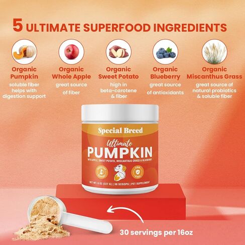 Ultimate Pumpkin for Dogs (16 oz) - with Organic Pumpkin, Apple, Sweet Potato, Miscanthus Grass & Blueberry, Digestive Support Relief for Constipation, Loose Stools, and Upset Stomaches, 60 Scoops in Kuwait
