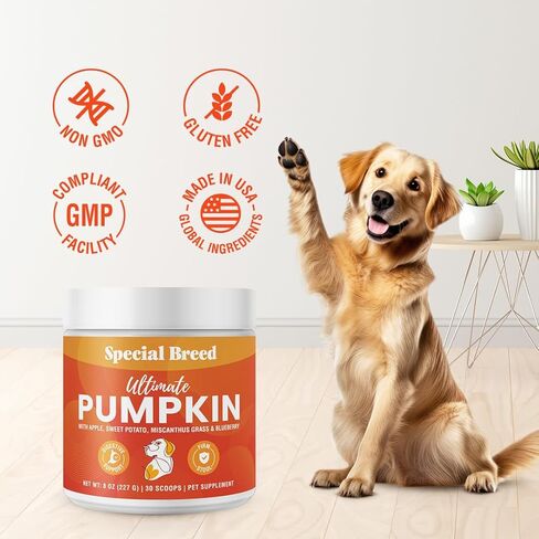 Ultimate Pumpkin for Dogs (16 oz) - with Organic Pumpkin, Apple, Sweet Potato, Miscanthus Grass & Blueberry, Digestive Support Relief for Constipation, Loose Stools, and Upset Stomaches, 60 Scoops in Kuwait