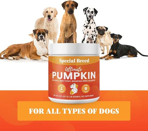 Ultimate Pumpkin for Dogs (16 oz) - with Organic Pumpkin, Apple, Sweet Potato, Miscanthus Grass & Blueberry, Digestive Support Relief for Constipation, Loose Stools, and Upset Stomaches, 60 Scoops in Kuwait