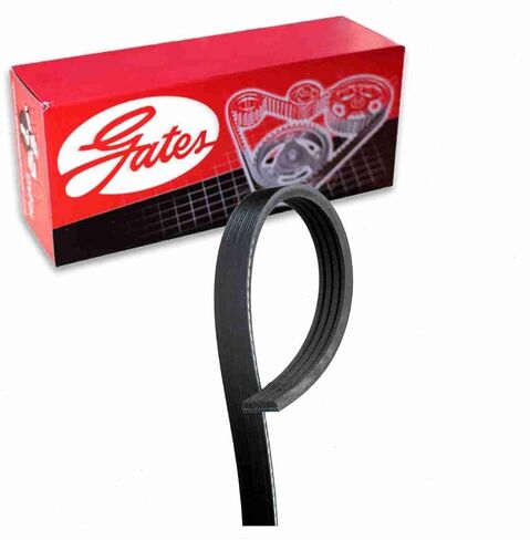 Gates AC Micro-V Serpentine Belt متوافق مع Pontiac GTO 5.7L 6.0L V8 2004-2006 in Saudi Arabia