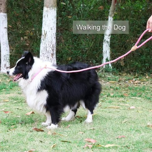 Puppy Pet Cat Dog Leash Collar Basic Accessories Reflective Retractable Dog Rope Pet Traction Belt 5FT(Medium 0.39IN, 24-66LB, Purple) in Kuwait
