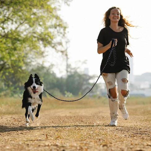 Long Dog Leash, 50 FT Dog Leashes for Large Dogs Heavy Duty Reflective Large Dog Leash with Comfortable Padded Handle Strong Dog Lead for Walking, Hunting, Camping, Backyard in Saudi Arabia