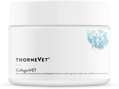 مسحوق الكولاجين ThorneVet CollagenVET للحيوانات الأليفة - مكمل دعم المفاصل الببتيد الكولاجين البقري لصحة المفاصل والعضلات والعظام والأوتار والجلد - متوفر بيولوجيًا للغاية وقابل للهضم - 75 ملعقة in Kuwait