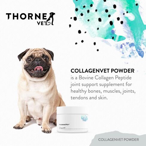 مسحوق الكولاجين ThorneVet CollagenVET للحيوانات الأليفة - مكمل دعم المفاصل الببتيد الكولاجين البقري لصحة المفاصل والعضلات والعظام والأوتار والجلد - متوفر بيولوجيًا للغاية وقابل للهضم - 75 ملعقة in Kuwait