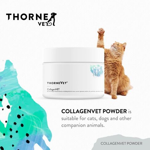 مسحوق الكولاجين ThorneVet CollagenVET للحيوانات الأليفة - مكمل دعم المفاصل الببتيد الكولاجين البقري لصحة المفاصل والعضلات والعظام والأوتار والجلد - متوفر بيولوجيًا للغاية وقابل للهضم - 75 ملعقة in Kuwait